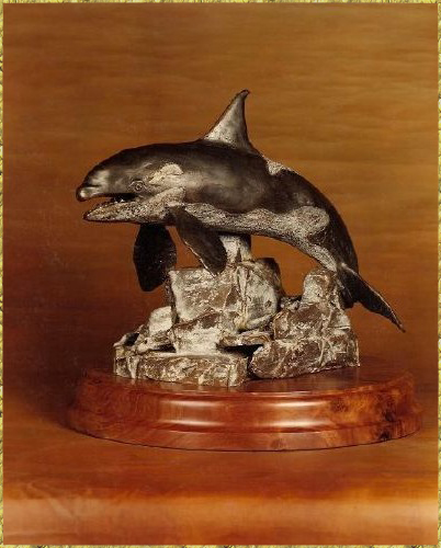 Orca Whale